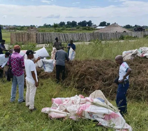 Mongala : 40 sacs de chanvre incinérés à Bumba sur ordre du comité local de sécurité
