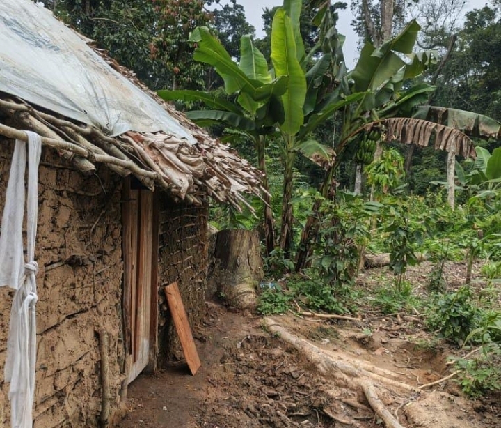 Ituri : plus de 40 civils portés disparus à Mambasa, les ADF présumés accusés